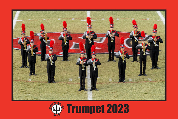 Trumpet  4x6