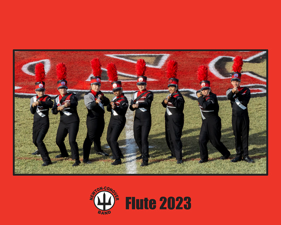 Flute 8x10