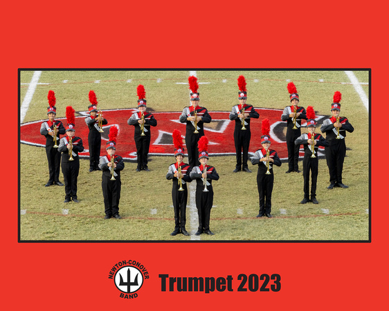 Trumpet 8x10